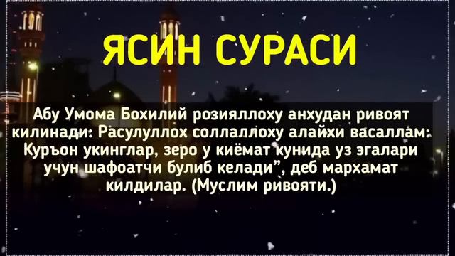 СУРА ЯСИН, УЙИНГИЗНИ ТОЗАЛАЙДИ, РИЗҚ, БАРАКА ЭШИКЛАРИНИ ОЧАДИ, YASIN смотреть онлайн