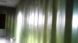 вегетарий все плюсы и минусы  февраль