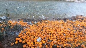 ЧТО ЗА ДОМА ХОББИТОВ В ТУРЦИИ И ГДЕ ЭТО РАЗВАЛИНЫ ДРЕВНЕГО ОЛИМПОСА. НЕОБЫЧНАЯ ТУРЦИЯ ОЛИМПОС