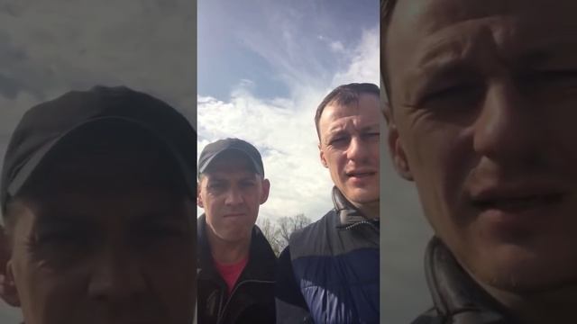 Лето. Клещи и Паразиты в крови! Бабезиоз, тейлериоз, анаплазмоз смотреть онлайн