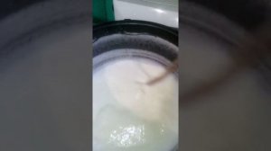 Сгущенка из козьего молока в мультиварке.
