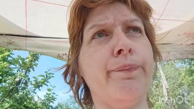 Правила прогулки на даче для собаки. смотреть онлайн