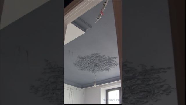 Светлые стены и серый потолок в интерьере спальни. смотреть онлайн