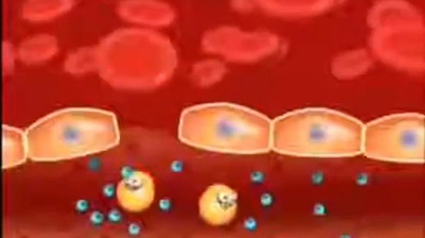 ALIVEMAX. Что такое холестирин.