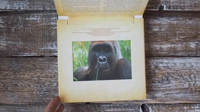 Детское чтение - 5 необычных и интересных детских книг смотреть онлайн