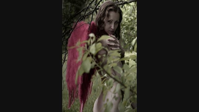 TARAS Obnazhennyy Kayf