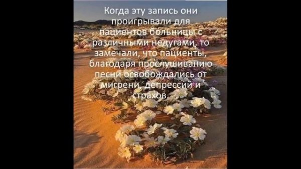 Аве Мария на арамейском языке