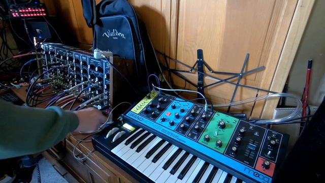 Moog and modular synth jam with Korg Sq1 смотреть онлайн