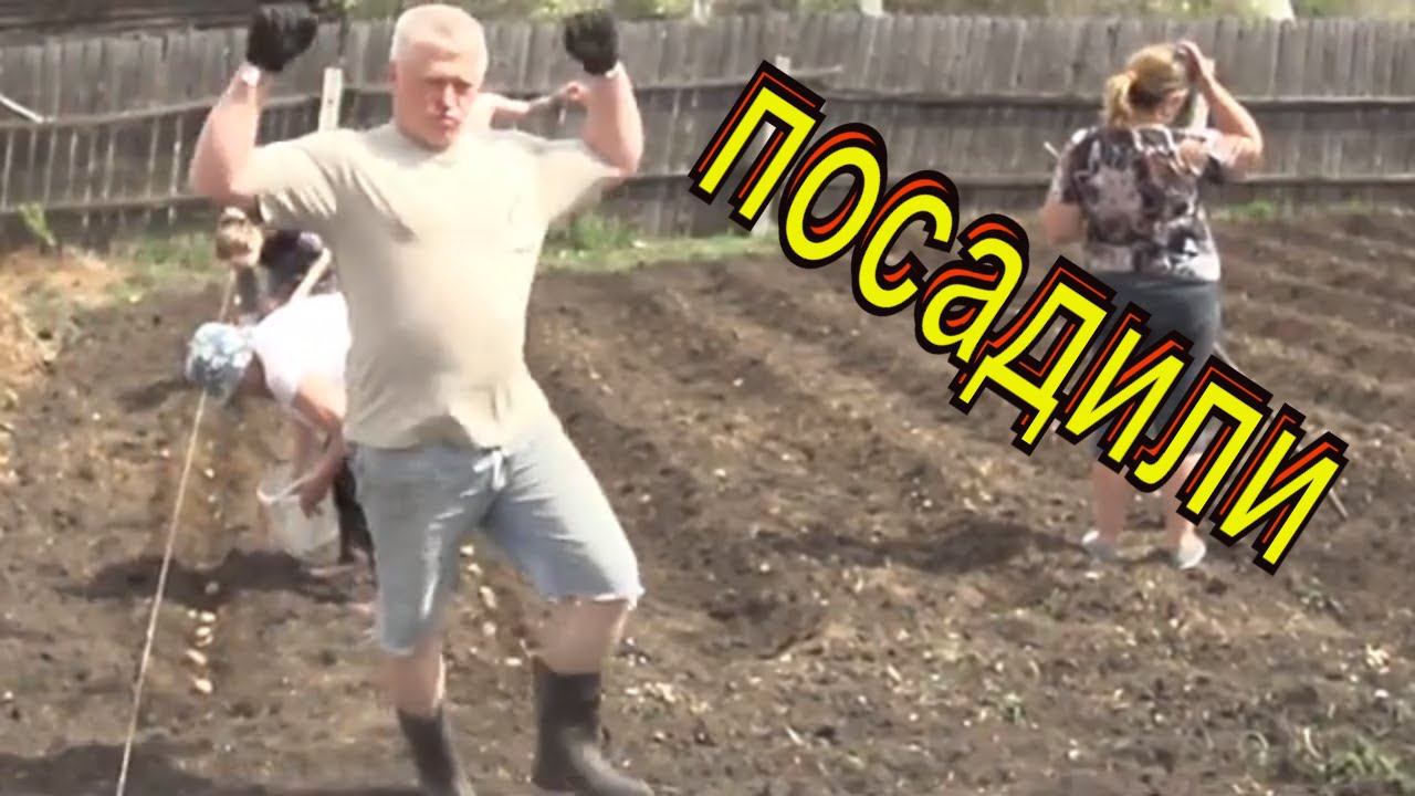 Пашем Сеем огород Если все так будут садить картошку, супермаркеты обанкротятся смотреть онлайн