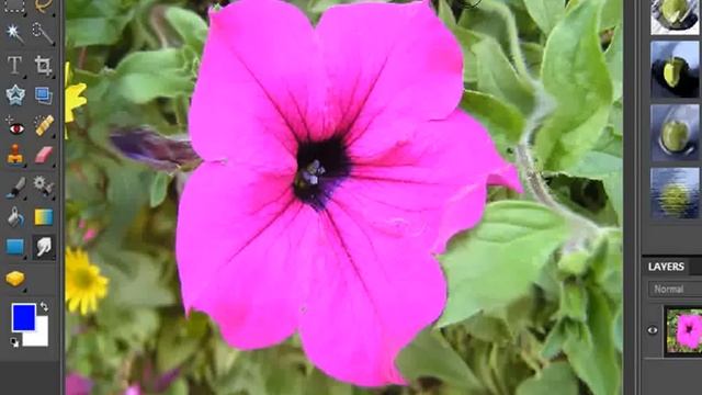 How to Use the Smudge Tool in Photoshop Elements смотреть онлайн