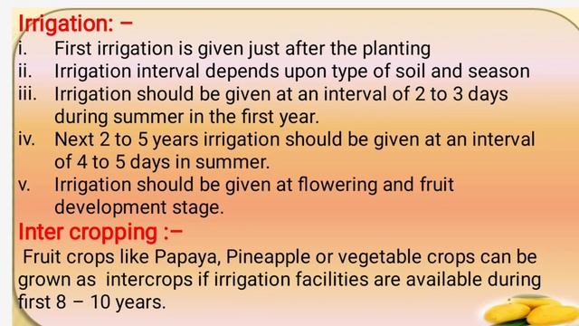 Mango cultivation (Mkk) смотреть онлайн
