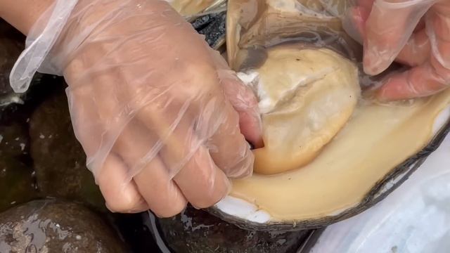 A shell bigger than the head was fished out of the river, and there was a rare blue pearl смотреть онлайн