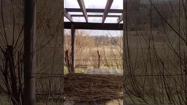 ?Немного об усадьбе "Русская лоза". А ещё у нас рождается новая скульптура. смотреть онлайн