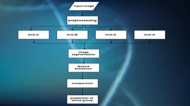 Automatic detection of human blood group with special cases using image processing ( batch 12) смотреть онлайн