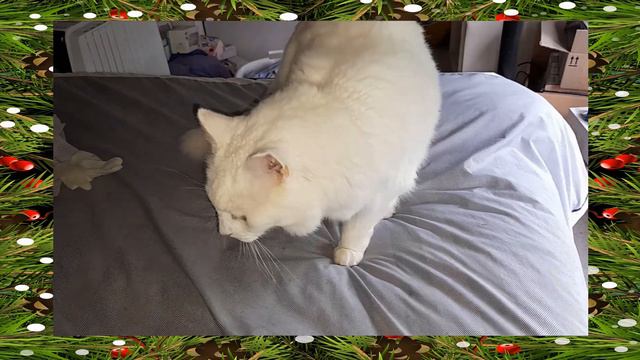 White Christmas Bing Crosby смотреть онлайн