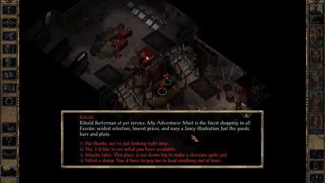 The Mage Stronghold - Let's Play Baldur's Gate 2: Shadows of Amn #145 смотреть онлайн