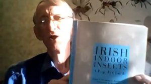 Жуки в Доме и Квартире? Кто Это и Как Избавиться?