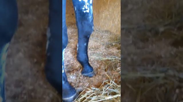 Гипатия 9 сентября смотреть онлайн