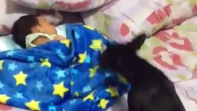 Забота смотреть онлайн