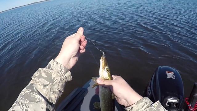 Открытие сезона по Лен. области.#ОткрытиесезонапоЛенобласти смотреть онлайн