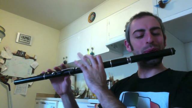 The Dusty Windowsill - Irish Flute - slow/fast смотреть онлайн