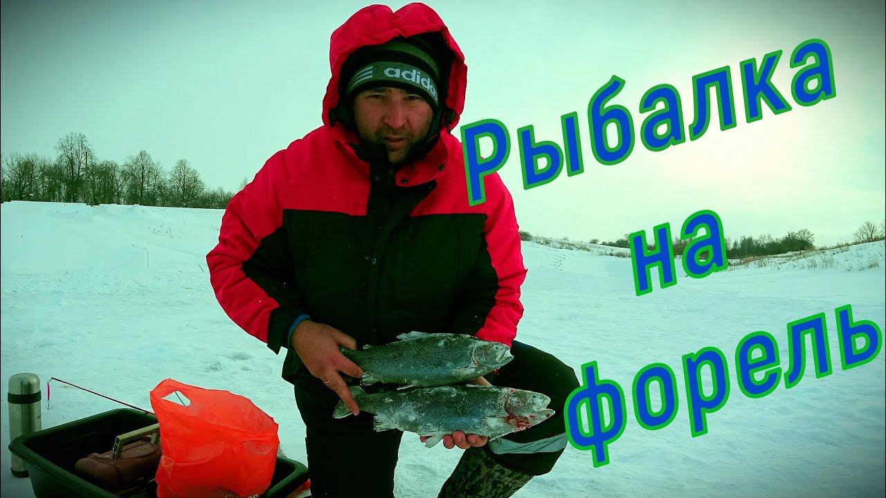 Рыбалка в Благодать на форель зимой .Благодать карп. смотреть онлайн