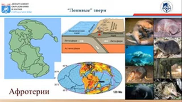 Экология: "Ленивые" звери смотреть онлайн