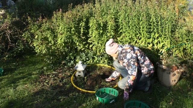 Как составлять композиции с луковичными смотреть онлайн