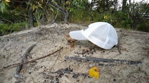 Ловля Бурундука