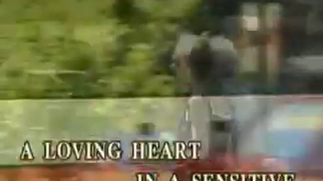 AVSEQ15 Hiding Inside Myself - Kenny Rankin | Sing 'n' Vision смотреть онлайн