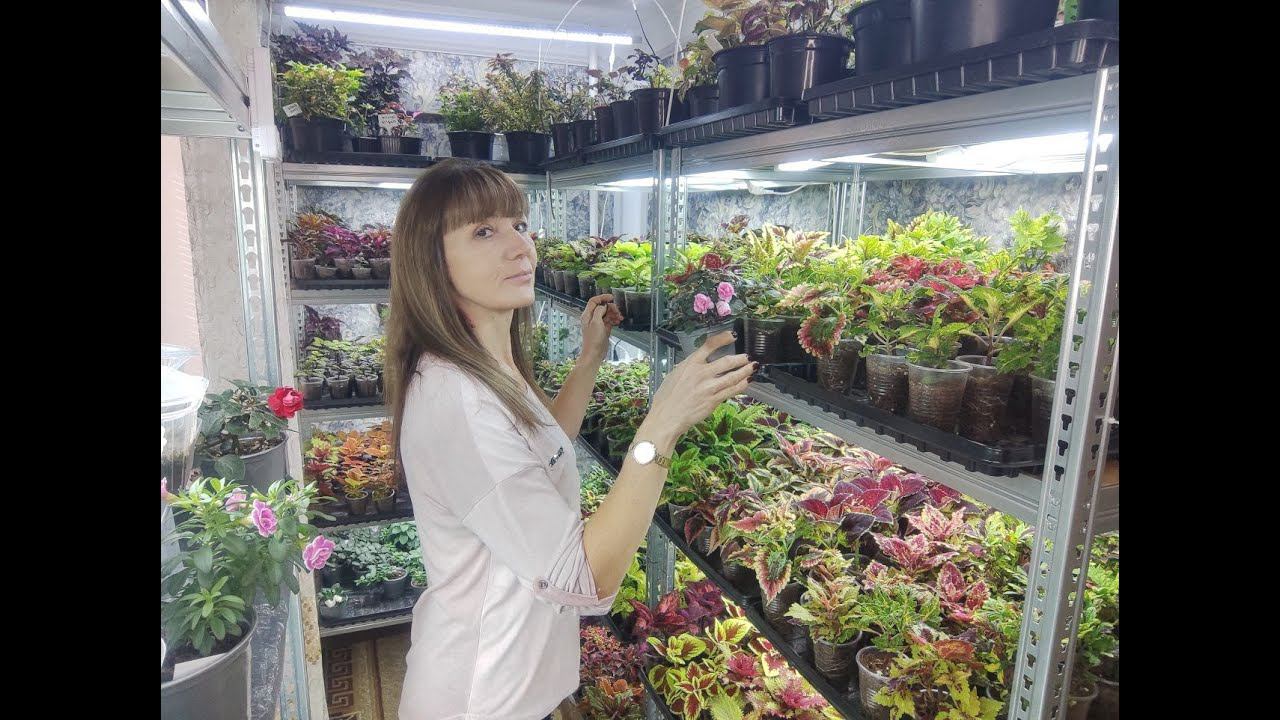 Как на стеллаже разместить больше растений. Бюджетный вариант для увеличения площади. Лайфхак. смотреть онлайн