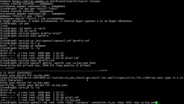 Создание доверенного CA и SAN сертификата с использованием OpenSSL