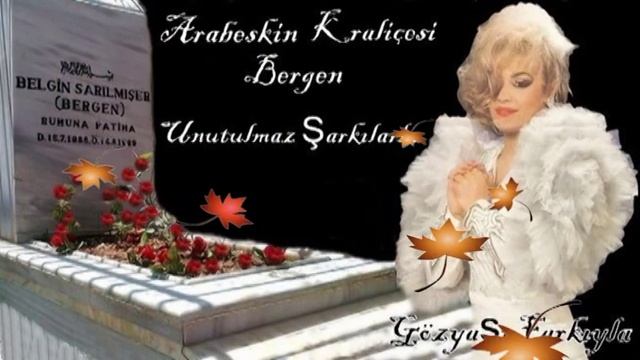 Bergen Şöför смотреть онлайн