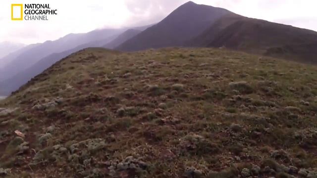 Ахты, Ахтынские горы, самые красивые.