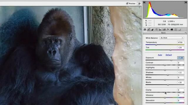 Adobe Photoshop Beta CS6 - Usando o Camera Raw 7 смотреть онлайн