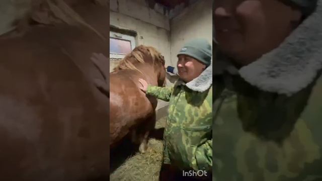 1000 kg 🐎 Айғыр! каналға жазыламыз достар ✊ смотреть онлайн