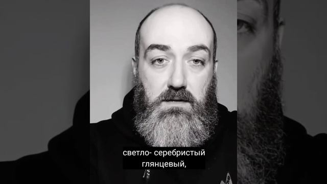 Какого цвета должна быть входная дверь на северо-западе дома по Васту? смотреть онлайн