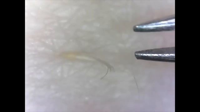 Пленительные ресницы