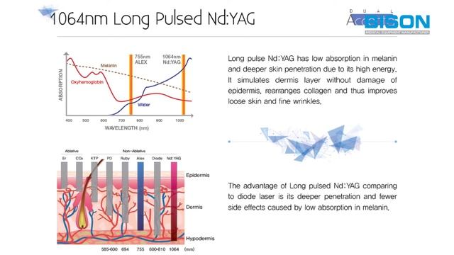 BISON Medical Motion Catalog ( Single&Dual Accento ) смотреть онлайн