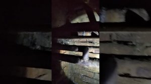 Подвальное помещение МКД.