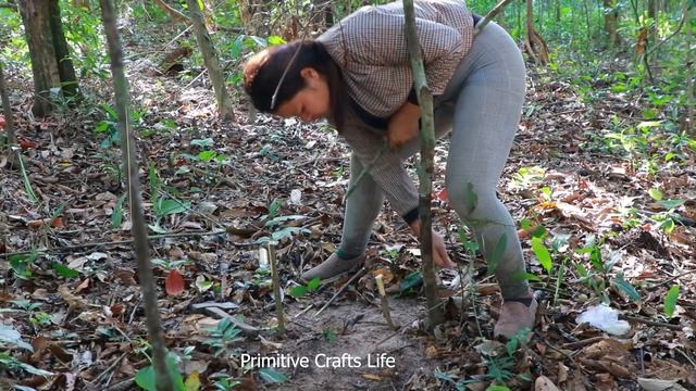 Lost in The Forest, Take The Bushcraft Shelter Overnight and Trapping Wild Chicken for Food смотреть онлайн