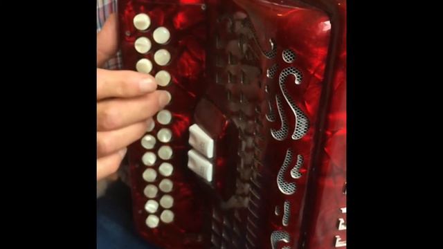 LEARN IRISH Button ACCORDION Technique - Triplets on a sequence of notes in slow motion смотреть онлайн