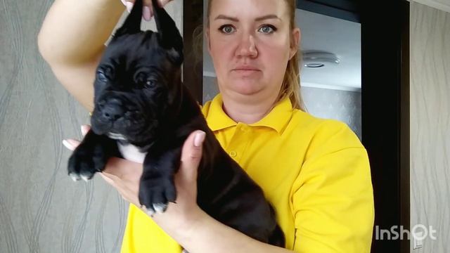 Чёрный пацан 2 Геркулес & Зира 30 дней свободен смотреть онлайн