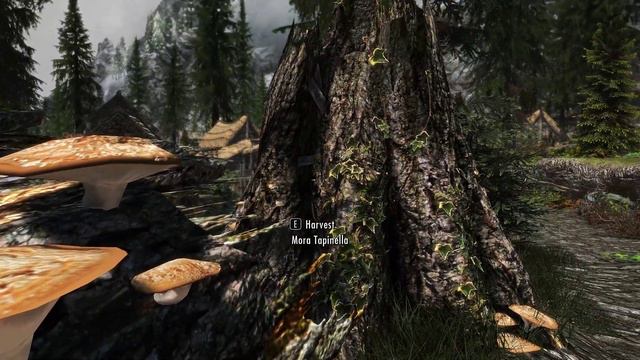 Skyrim SE 4K Modded: The Road to Riverwood смотреть онлайн