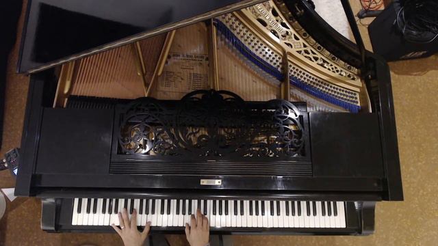 #290 of 10.000 Blüthner Grand Piano Pieces смотреть онлайн