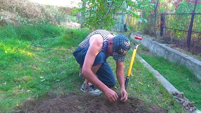8 Повезло выкопать самородок (1).mp4 смотреть онлайн