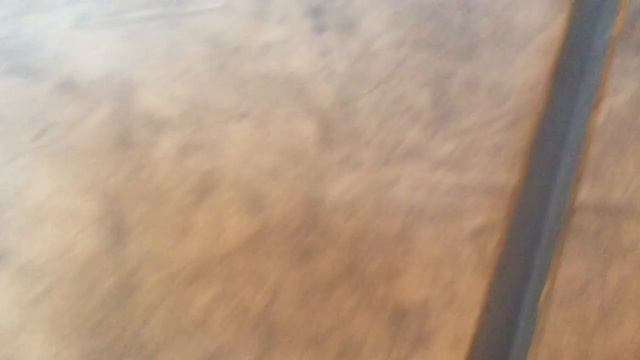 калитки в клетки смотреть онлайн