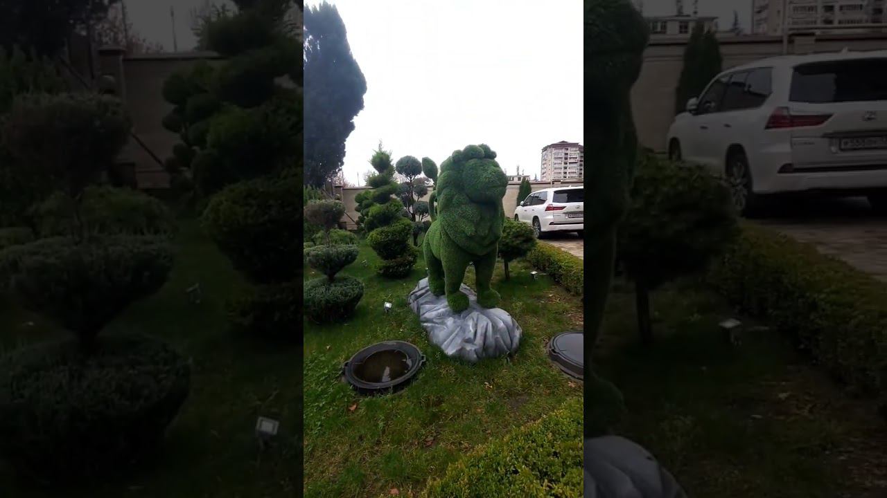 14.12.22 г. Погода Лазаревское #shorts #погодалазаревское #лазаревское2022 #погодасочи #сочи смотреть онлайн