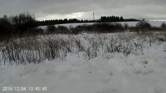 Мотовездеход 2х2 из Беларуси . По снежному лугу. смотреть онлайн