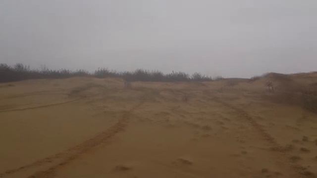 ПУСТЫНЯ НА ЛОПАТАХ смотреть онлайн
